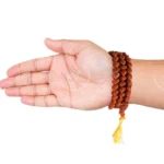 5mukhi
